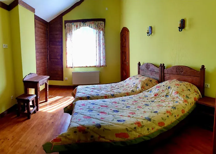 Vila дім