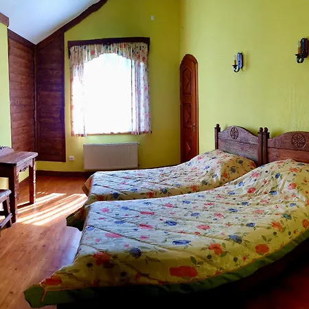 Villa дім
